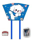 JUKOTA Delta-Drachen für Kinder & Erwachsene - Faltbar,Leicht zu tragen - Leicht zu Fliegender Einleiner mit 50m Schnur & Blau Schwanz - Ideal für Anfänger am Strand & Park (75x48cm)