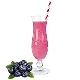 Heidelbeere Geschmack Eiweißpulver Milch Proteinpulver Whey Protein Eiweiß L-Carnitin angereichert Eiweißkonzentrat für Proteinshakes Eiweißshakes Aspartamfrei (200 g)