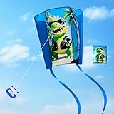 FOUNSHO Drachen Kinder, Taschendrachen mit Langem Schwanz für Anfänger, Pocket Kite Einfacher Flugdrachen für Jungen Mädchen Flugdrachen Spiele Outdoor Aktivitäten im Freien Strandspiel (Dinosaurier)