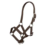 Imperial Riding Fohlenhalfter – 3-Fach verstellbares Nylon-Halfter für Fohlen mit 20 mm Gurtbreite & Nickelbeschlägen, langlebig & sicher, Walnuss