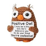 Crochet Positive Owl - Crochet Positive Animals | Emotionale Unterstützung Handgefertigter Plüsch | Eulenpuppe | Puppenstütze mit inspirierenden Worten für Zuhause Firmenwagen