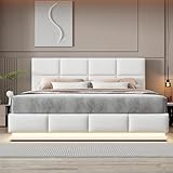 Dolamaní Doppelbett 180x200 cm, Polsterbett mit Stauraum Bettkasten, Hydraulisch Bett mit Lattenrost, für Erwachsenen Jugendbett (Weiß)