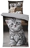one-home Bettwäsche 135x200 cm Mikrofaser Bettbezug Fotodruck modern weich und kuschelig für Sommer und Winter geeignet, Farbe:Katzen grau, Größe:2 teilig 135x200 cm
