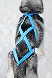 Northern Howl X-Back Zuggeschirr Fuer Bike-, Skijoring Dogscooting Canicross Schlitten in Blau (S)