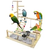 Vögel Spielplatz, Wellensittich Spielplatz Vogel-Spielplatz, Papageienspielständer Mit Feeder Cup Und Tablett, Vogel-Papageien-Spielzeug, Papageien Vogel Spielplatz (44x37x26 cm)