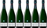 Champagne Brimoncourt Cuvée Blanc de blancs Champagne AOP Brut (herb) (6 x 0.75 l)