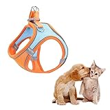 BAOSROY Hundegeschirr,Welpengeschirr Kleine Hunde,Hundegeschirr Welpen,Hundegeschirr Kleine Hunde,Welpengeschirr,Brustgeschirr Hund,Welpen Geschirr Hund,Hundegeschirr Reflektierend,XS