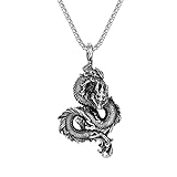 YANGFJcor Drachenkette Für Herren, Retro Drachen Totem Amulett Anhänger, Punk-Tier-Drachen-Halskette, Glückliches Handgemachtes Schmuckgeschenk.,Silber