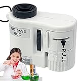 Beleuchtetes Taschenmikroskop, Mini-Mikroskop, tragbares Mikroskop für LED-Beleuchtung, 60 x – integrierte Knopfzelle, Lernhilfen, Einstellbarer Fokus für – Les, OBS