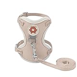 Hundewestengeschirr, Weste für Haustiere, Westenseil für Haustiere | Atmungsaktives und verstellbares Outdoor-Geschirr für Haustiere, Gil