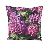 CB Home & Style Outdoor Garten Kissen Wasserabweisend Wasserfest 45 x 45 cm mit Füllung (Hortensie5)