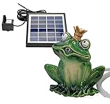 Wasserspeier Frosch 16cm mit Solarpumpe aus Keramik für Miniteich - Balkon und Terrasse