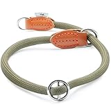 FREUDENTIER Zugstopp Halsband Hunde - Robuster Zugstopp für maximale Sicherheit - Hundehalsband Zugstopp für kleine, mittelgroße & große Hunde (Waldgrün, M)