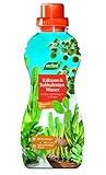 Westland Kakteen & Sukkulenten Wasser, 720 ml – Pflanzendünger für starkes Wachstum, Flüssigdünger mit Dosierhilfe, Gießen und Düngen in Einem