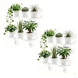 Zeroupshop 2 Stück 30,5 x 12,7 cm transparentes Acryl-Fenster-Pflanzenregal-Set mit Saugnäpfen und Stützhalterungen für Zimmerpflanzen, dekoratives Display auf Glas, Spiegeln, Fliesen (4 Stück)