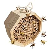 Einsame Bienennistkiste - Bestäuberpalast Und Schmetterlingshaus | Bee Hotel Geschenk, Wespenlebensraum Für Garten, Balkon, Hinterhof, Terrasse, Umweltfreundlicher Insektenheim Zur Steigerung Der Best