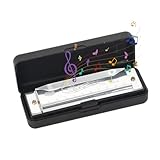 Mundharmonika 10 Loch C-Dur Blues Mundharmonika, Diatonische Harmonika, Mundharmonika Für Anfänger, Blues Harpes Mundharmonika, Hervorragender Klang, Mit Etui, Für Profis, Anfänger (Silber)