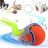 Speedy Tail 2.0, Interaktives Hundespielzeug, Magic Ball Hund, Interaktives Hundespielzeug Ball, Interaktives Hunde Ball Spielzeug Interactive Cat Toys Rolling Ball Automatisches Katzenspielzeug