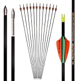 12 Stück Bogenschießen Pfeile ID 4,2mm Spine 300 400 500 600 700 800 900 1000 Jagd Übung Pfeil, für Recurve-Bögen Compound-Bogen (31inch,Spine 1000)