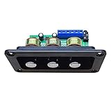KVSERT Digitaler Verstärker, Stereo-Verstärker NS4110B, Soundverstärker, 2 x 20 W, HiFi-Verstärker mit Panel