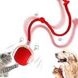 REGAPOG Interaktives Katzenspielzeug Elektrisch Katzenball Mit LED Licht- Katzenspielzeug Selbstbeschäftigung Automatisch Rollender Intelligenz -powerball 2.0 Katze Pfotenjagd Katzenspielzeug (Rot)