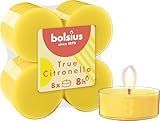 Bolsius True Citronella - Maxi Duftteelichter - Citronella - 8 Stück - Brenndauer 8 Stunden - Outdoorkerzen - Natürliches Pflanzenwachs - mit Natürlichen Extrakten - Ohne Palmöl