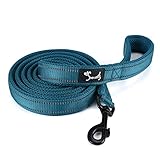 Kaka Mall Hundeleine High Density Nylon Material Reflektierendes Design Gut für Training und täglichen Gebrauch Hundeleine Gepolstert Blau 2.5 * 120CM