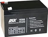 DSK 10364 - Versiegelte wiederaufladbare AGM-Bleibatterie 12V mit 12Ah. Ideal für Auto- und Elektromotorräder für Kinder, Motorroller, USV-Systeme, Sicherheits- und Kommunikationssysteme…