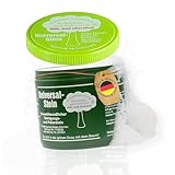 Zielinsky Universal-Stein, grüner Stein, weißer Stein, Putzstein, Reinigungsstein - Haushaltsdose, 1er Pack (1 x 900 g + 2 gratis spezial Schwämme)