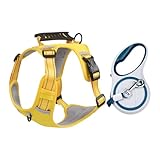 Hundegeschirr Für Spaziergänge | Bequemes Geschirr Mit Verstellbarem Brustgurt & Sicherheitsverschluss | Welpengeschirr Für Spaziergänge - Für Kleine & Mittelgroße Hunde, Welpen &