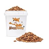 Aprikosenkerne bitter 3,5kg bittere ganze Aprikosenkerne ungesalzen ungeröstet naturbelassen ganze Kerne extra hoher bitter Anteil-100% naturreines unbehandeltes Naturprodukt (3,5kg)