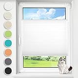 HOMEDEMO Plissee ohne Bohren Klemmfix ● Weiß 35x100cm(BxH) ● Blickdicht Faltrollo Plisseerollo Jalousie innen ● Sicht- und Sonnenschutz verspannt & lichtdurchlässig ● Rollos für Fenster & Tür