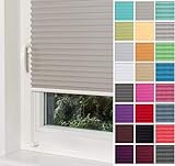 Home-Vision® Premium Plissee Faltrollo ohne Bohren mit Klemmfix jalousien Fenster innen(Grau, B35cm x H150cm) Easyfix Klemmträger, Verdunklung, Blickdicht Sonnenschutz Jalousie für Fenster & Tür