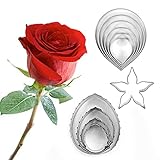 PRETYZOOM 2 Formen Aus Edelstahl Acetat Kekspresse Kreisschneider Bausatz Plätzchen Cracker Lebkuchen -ausstecher Fondant Ring Glasur Waffel Maschine Stern Backen Ausstechform Silver