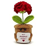 HeDaKang Muttertagsgeschenk Geschenke für Mama Mutter - Geburtstagsgeschenk Mama Besondere Mutter Tochter Geschenk Nelken Positive Potato Kartoffel Serien Gehäkelte Blumen Geschenke für Frauen Deko