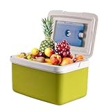 Isolierte Kühlbox | Auslaufsichere Eiskühltasche | Ergonomischer Griff Thermobehälter Tragbare Große Kapazität Träger für Reisen Getränke Strand Snacks Picknick Camping