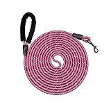 Schleppleine 10M für Hunde,Starke Hundeleine mit Bequemen Gepolsterter Griff,Abschließbarer Haken,Trainingsleine für Kleine Mittlere und Große Hunde