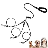 3 in 1 Hundeleine 1/2/3 Pet Leash Hundeleine mit Drehung ohne Verheddern Robuste Nylonleine mit gepolstertem Griff für mittelgroße und große Hunde