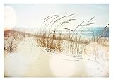 WallArena - Vlies Fototapete Strand und Meer Landschaft Dünen Ostsee 254x184 cm - Fototapeten - Tapeten - für Wohnzimmer Schlafzimmer - Vliestapete Wandtapete Tapete 3D Effekt- inkl. Kleister