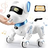 Britik Spielzeug für 8+ Jahre Mädchen Junge: Roboter Hund Ferngesteuert Spielzeug ab 8 9 10 11 12 Jahre Kinder Geburtstag Geschenkideen für Mädchen Junge Roboterhund Haustier Robot Kinderspielzeug