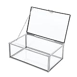 Homtone 15x9x5,5 cm Silber Vintage Glasbox, Dekorativer Schmuck Organizer für Ringe, Armbänder, Halsketten, Rechteckige Schmuckbox für Hochzeit, Geburtstag, Party, Home