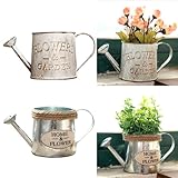 MonoSora Vintage Gießkanne aus Eisen mit Retro-Design, 9 cm x 8,5 cm, Metall-Blumentopf für Haus und Garten Dekoration