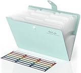 Dokumentenmappe A4, Fächermappe mit 12 Tasche Dokument Organizer Ordner A4 Mappe mit 4 Fächern Kunststoff Ordnungsmappe mit Etiketten für Büro Hause Schule Folder Organizer (Hellgrün)