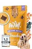 Paawy Gelenktabletten Hund I Grünlippmuschel Hund I Snacks mit MSM, Glucosamin & Chondroitin I Arthrose Hund I Unterstützt die Gelenke & Knochen I Gelenk-Aktiv 250g