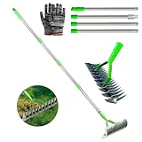 Vertikutierer Rechen mit Stiel 160cm, Schneidrechen Garten, Moosrechen, Vertikutierrechen, Verstellbarer Handvertikutierer, Bodenrechen zum Reinigen von Totem Gras, für Garten, Hof, Rasen