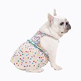 Moorfowl Regenbogen Polka Dots Französische Bulldogge Prinzessin Kleid Sommer Bunte Weste Gaze Rock für Mops Corgi Hunde Party Kleid mit niedlichem Bärenmuster Mode Outfits (L (Brust 5258 cm, Rücken