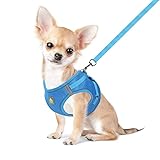FEimaX Hundegeschirr mit Leine für Kleine Mittele Hunde Katzen Weich Mesh Welpengeschirr Atmungsaktive Brustgeschirr Verstellbare Reflektierend No Pull Weste Chihuahua Katze