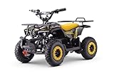 ATV - Mini-Quad für Kinder Beneo Motors Veloci Gelb - 800W