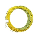 Flugschnur,Hochfester Angelschnur - Konisch Für Süßwasser Forelle Karpfen Bootsfischen Katfisch Teichangeln Tiefsee Barsch