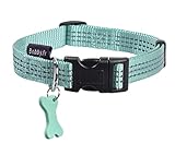 Bobby - Sicheres Hundehalsband - Lagon/S (Halsumfang: 25-40 cm, Breite: 16 mm)